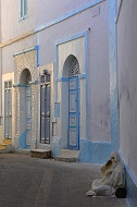 images/Reportage/Reportage (22).jpg
